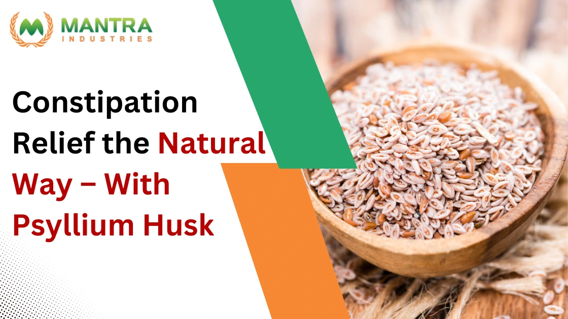 Constipation Relief the Natural Way – With Psyllium Husk Banner