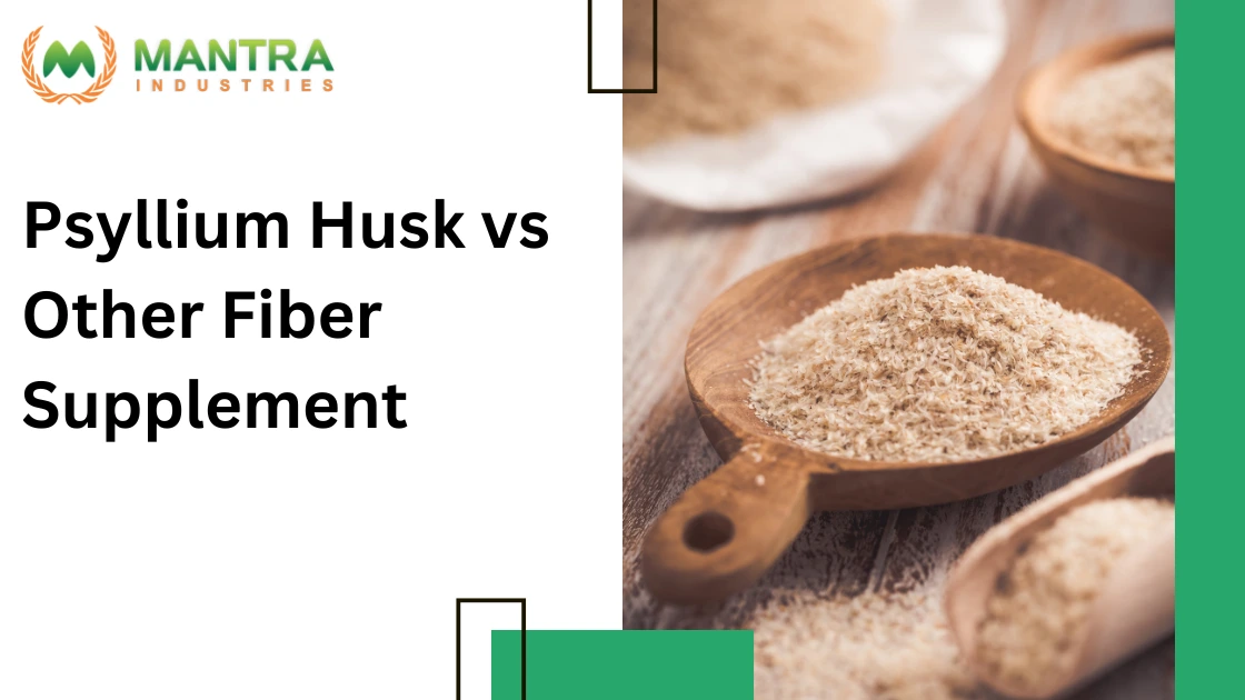 Psyllium Husk vs Other Fiber Supplement