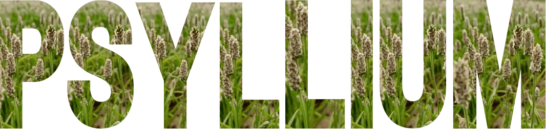 Psyllium min 1