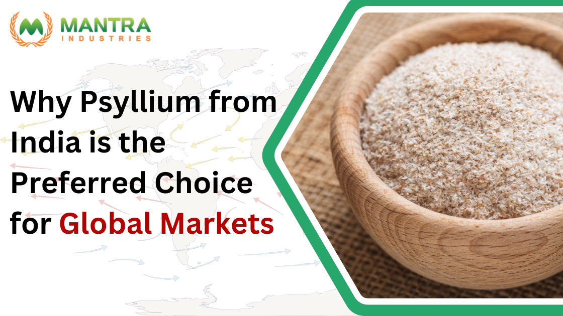 Why Psyllium from India is the Preferred Choice for Global Markets
