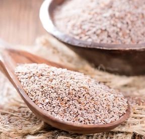 Psyllium Seed 1