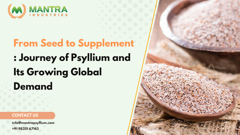 Journey of Psyllium Seed