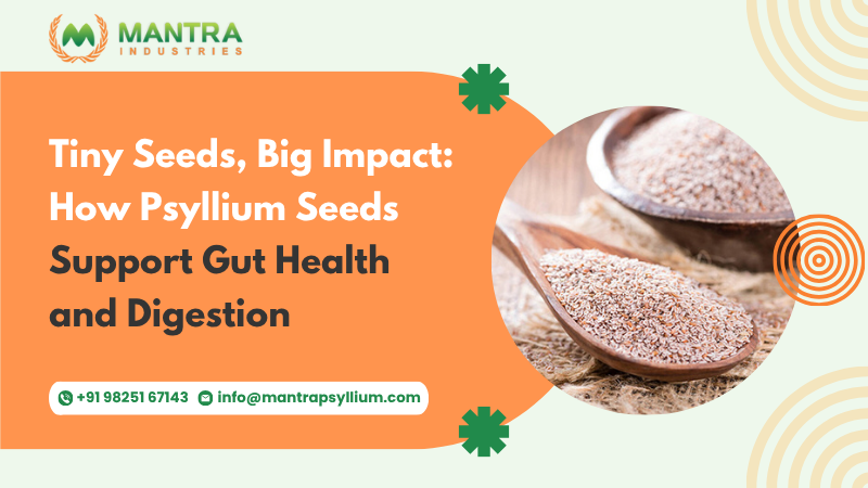 Psyllium Seeds Support Gut Health