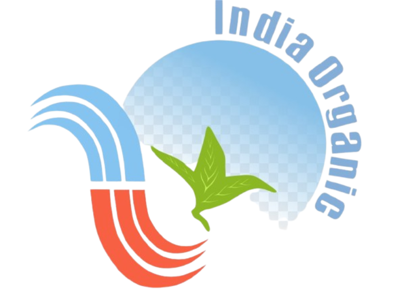 download 2025 11 07T162516.870