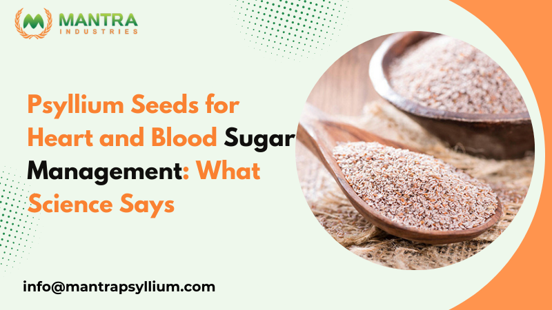Psyllium Seeds for Heart and Blood Sugar Management