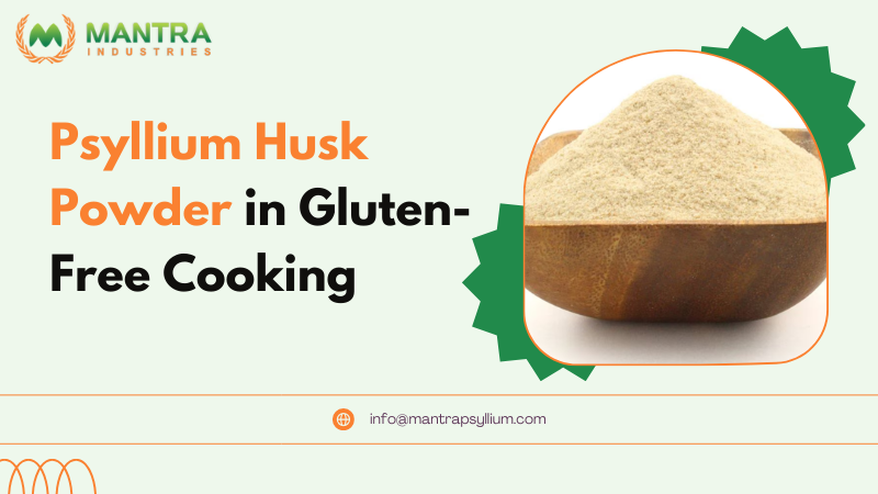 Psyllium Husk Powder