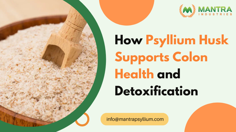 Psyllium Husk Supports Colon Health