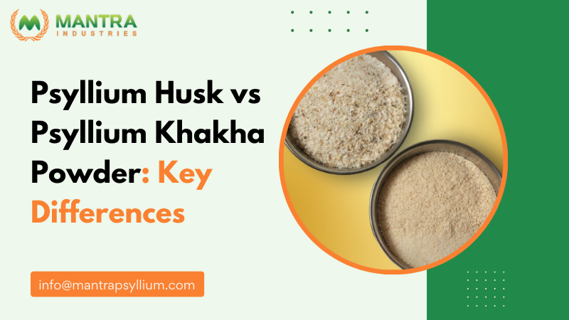Psyllium Husk vs Psyllium Khakha Powder