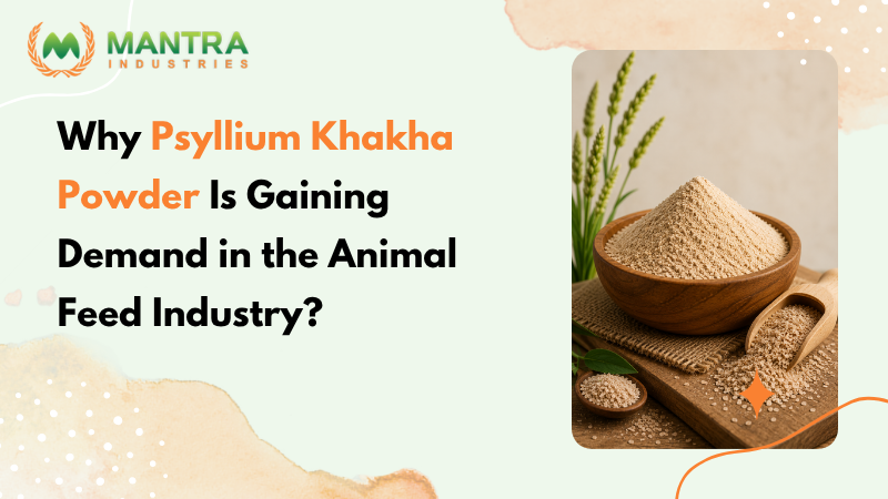 Psyllium Khakha Powder