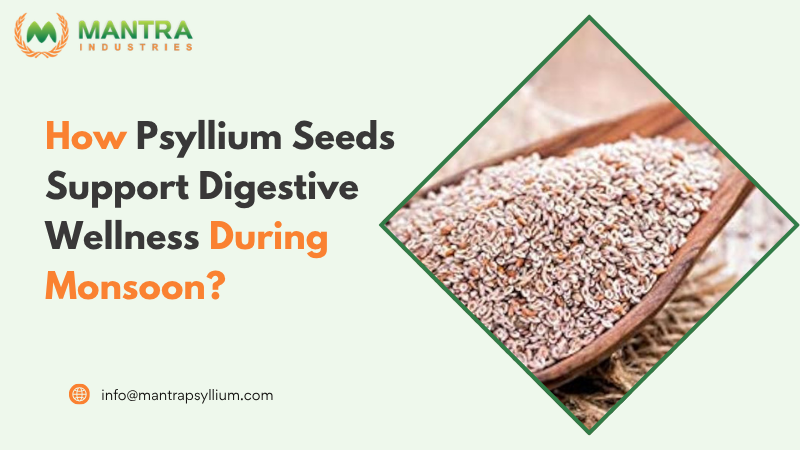 Psyllium Seeds Support Digestive Wellness