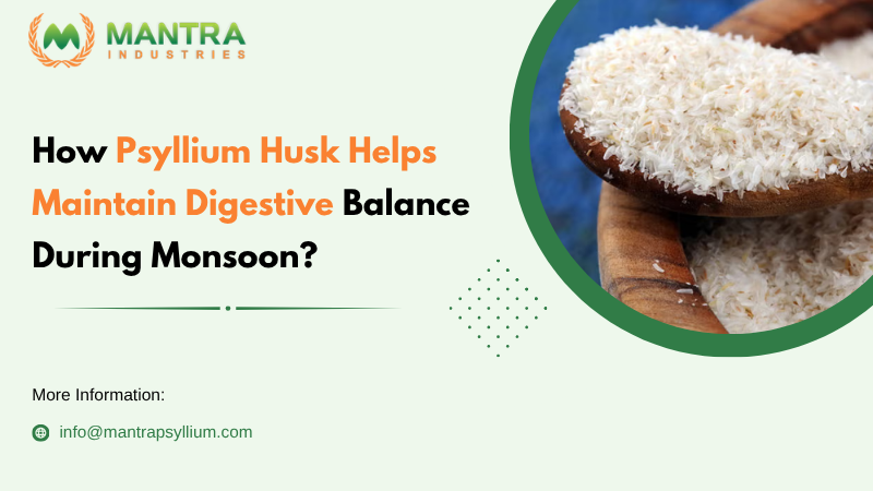 Psyllium Husk Helps Maintain Digestive