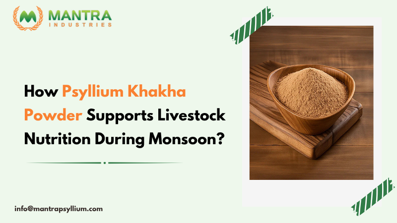 Psyllium Khakha Powder Supports Livestock Nutrition During Monsoon