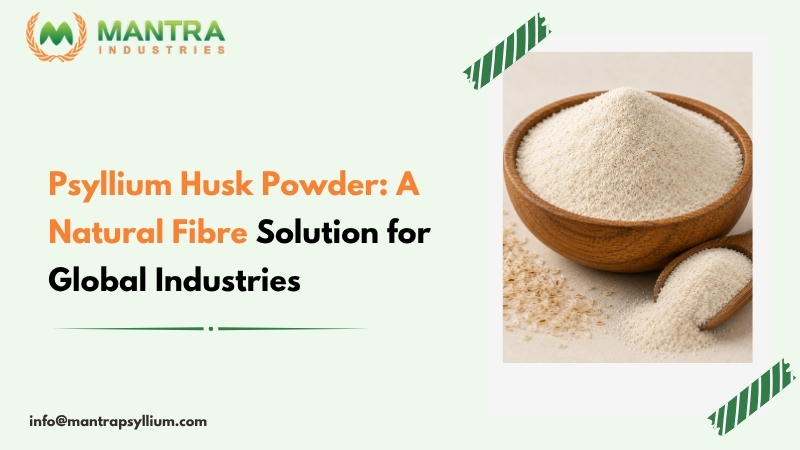Premium psyllium husk powder for global food and health industries