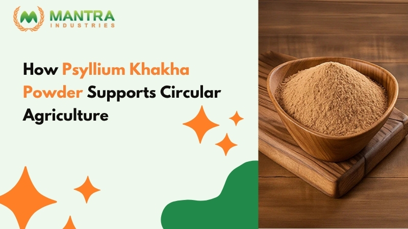 How Psyllium Khakha Powder Supports Circular Agriculture