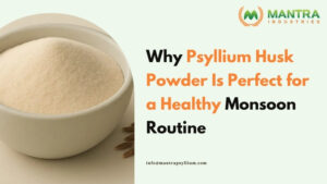 Why Psyllium Husk Powder Is Perfect for a Healthy Monsoon Routine