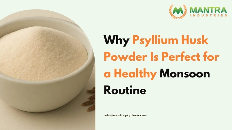 Why Psyllium Husk Powder Is Perfect for a Healthy Monsoon Routine
