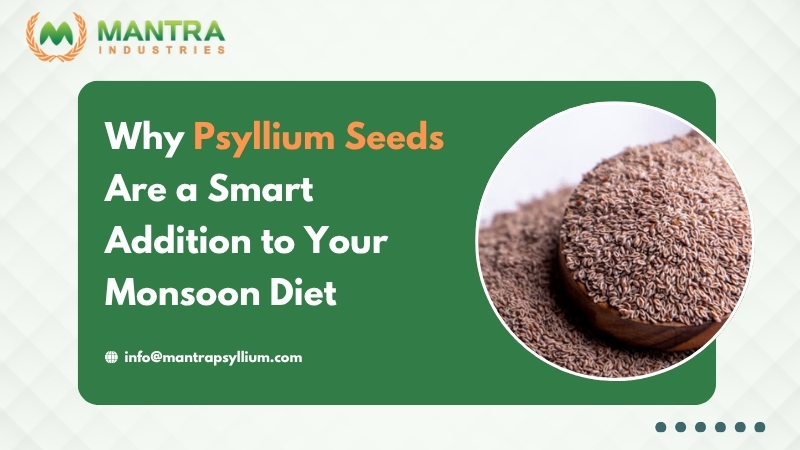 Why Psyllium Seeds Are a Smart Addition to Your Monsoon Diet