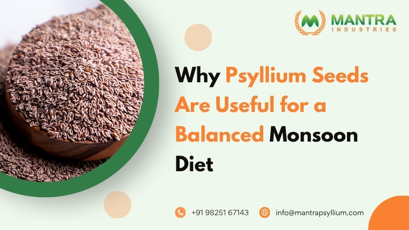 Why Psyllium Seeds Are Useful for a Balanced Monsoon Diet
