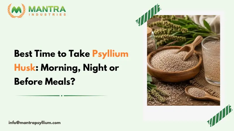 Best Time to Take Psyllium Husk Morning, Night or Meals