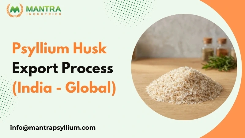 Psyllium Husk Export Process from India: Step-by-Step Guide