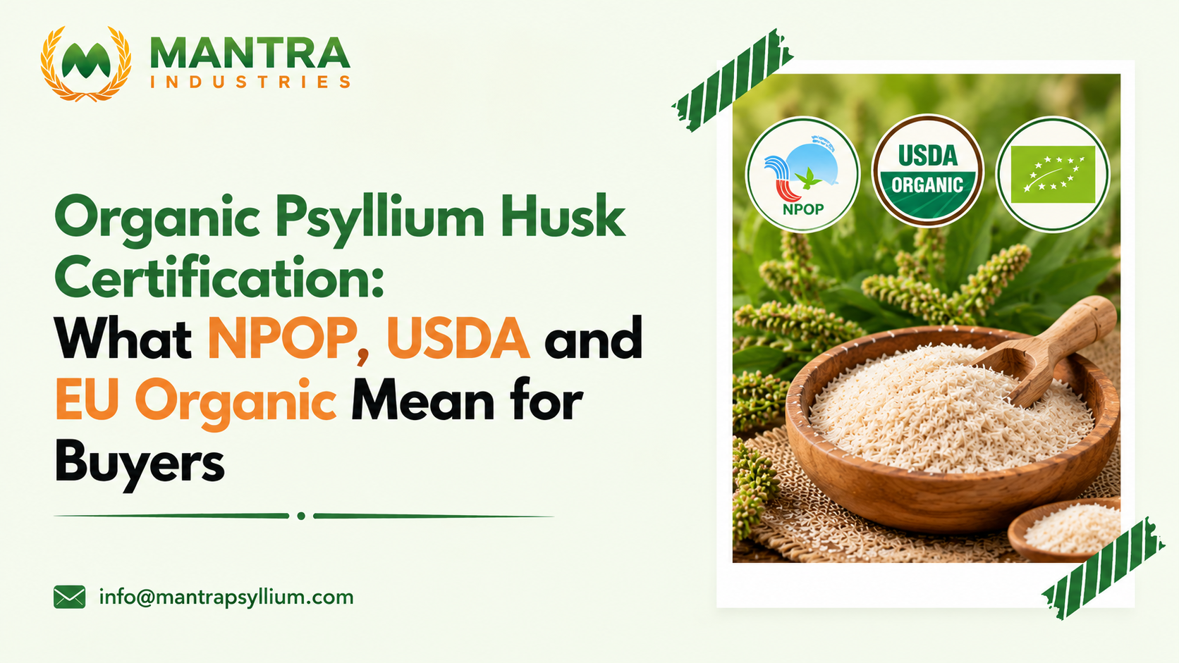 Organic Psyllium-Certification Guide