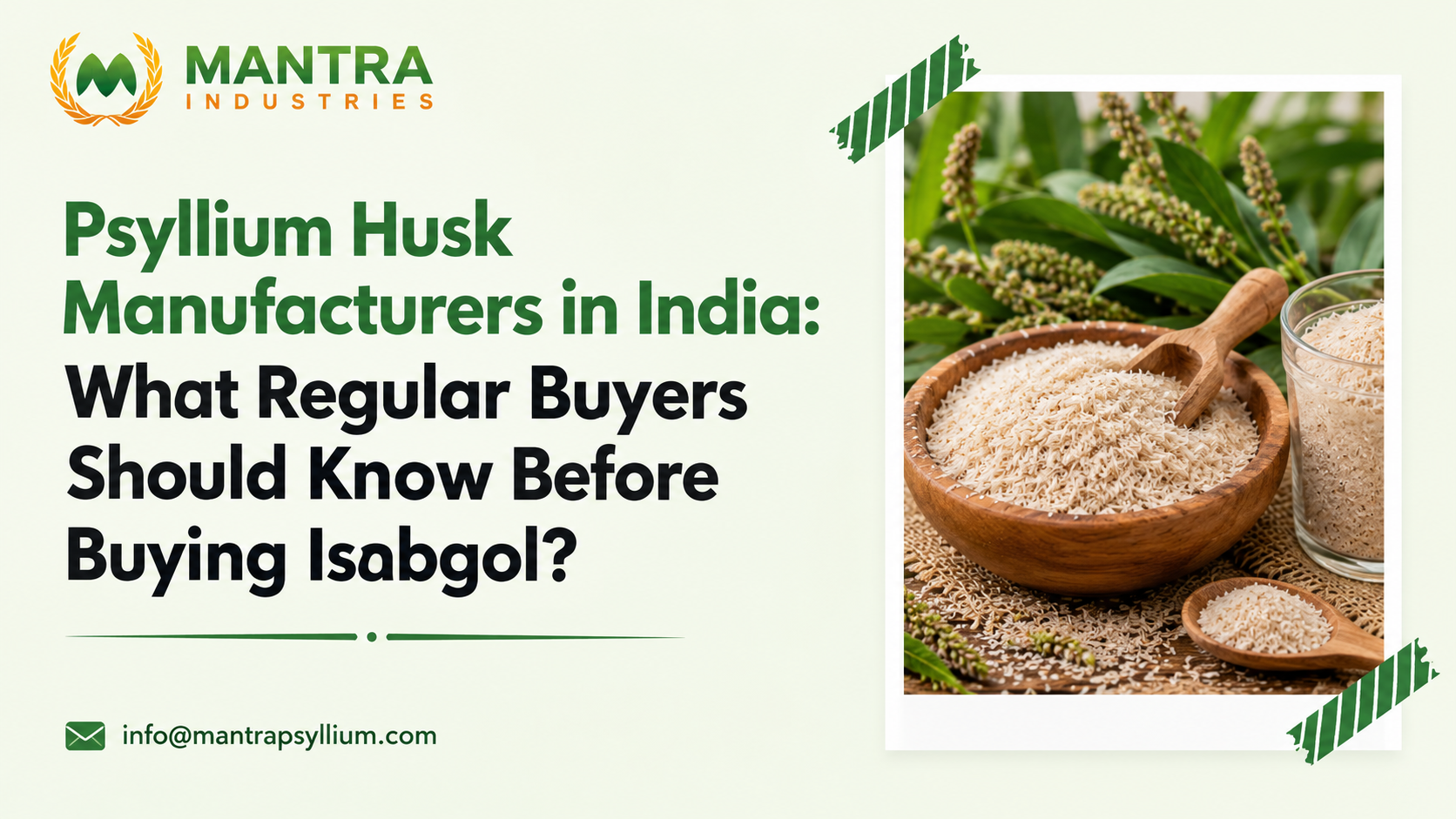 psyllium husk buying guide